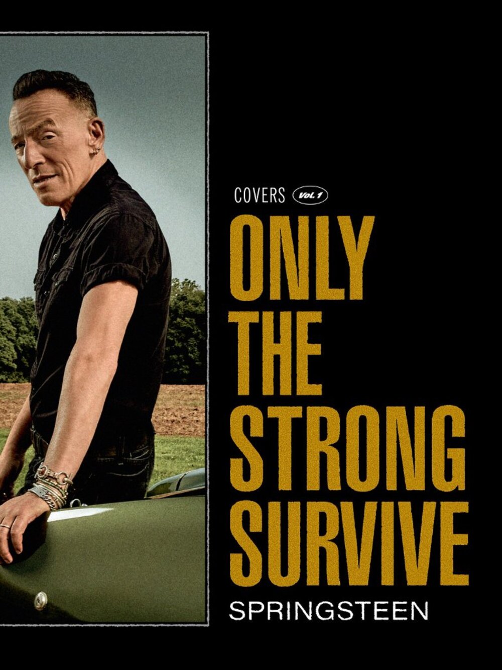 Springsteen "Only The Strong Survive" Covers CD - Black & Gold